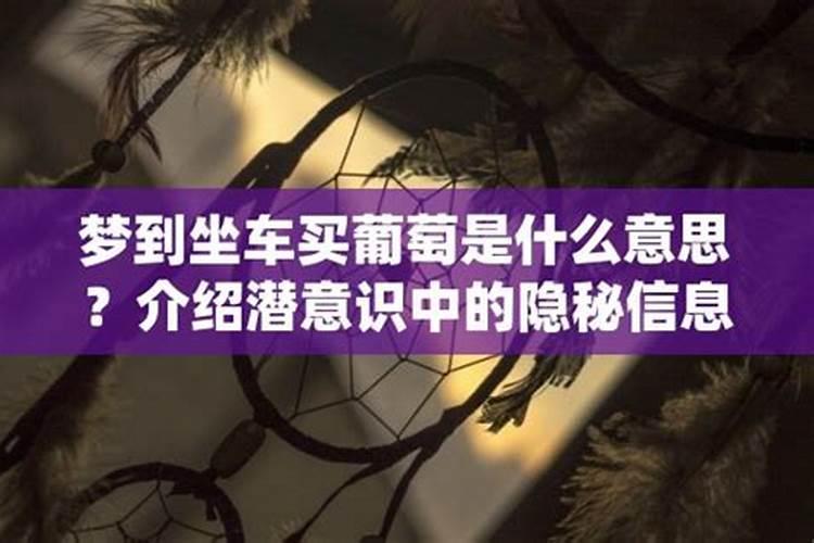 梦见别人坐车走了好不好呀