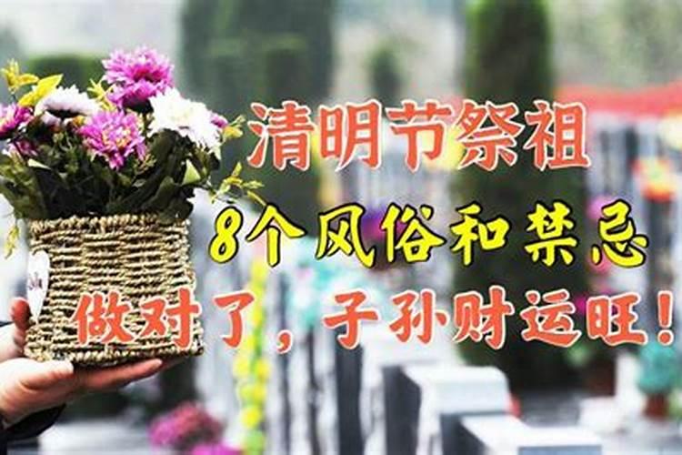 清明时节祭祖有什么禁忌