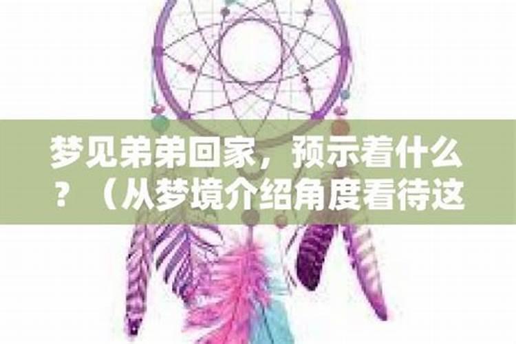 梦见弟弟们回家了