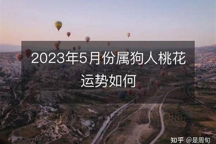 2023狗在八月的运势如何