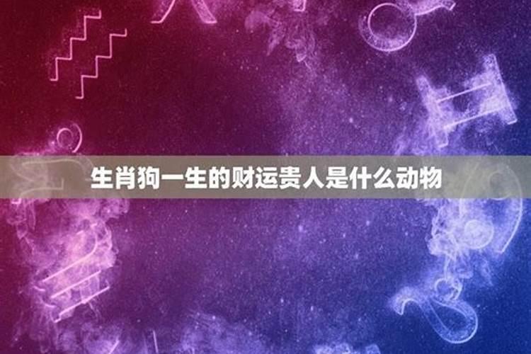 2023狗在八月的运势如何