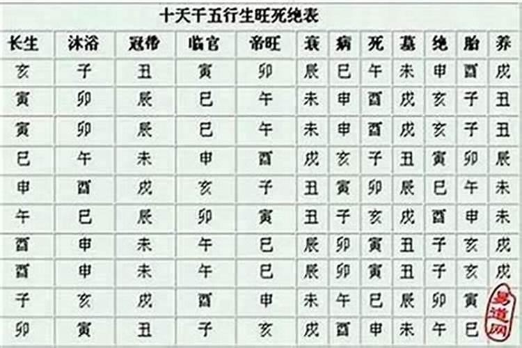 八字里胞胎是什么意思啊