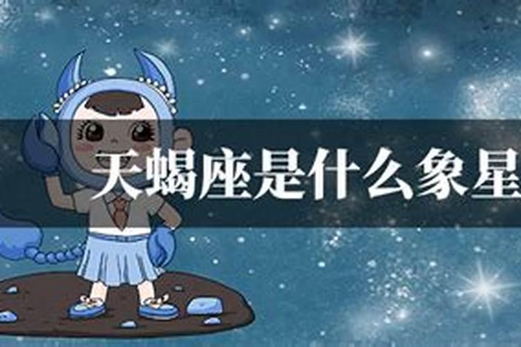 摩羯天蝎是什么象星座