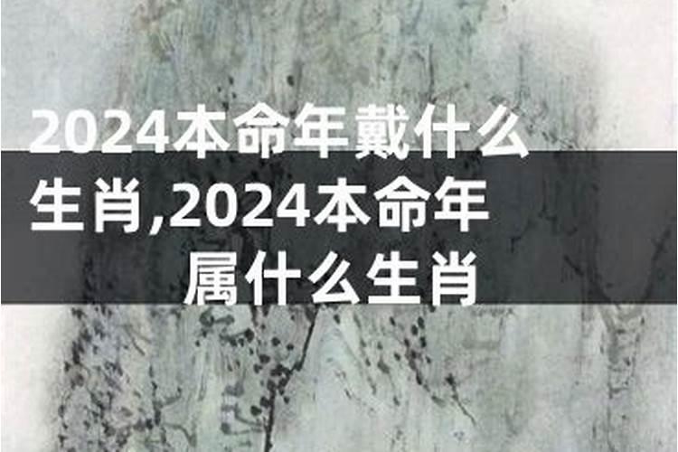 属猪2022年财运怎么样呢