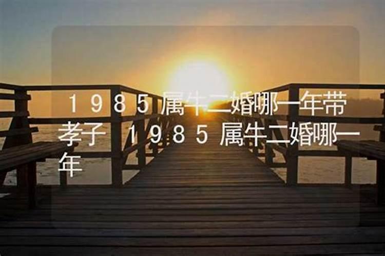 1985属牛二婚哪一年