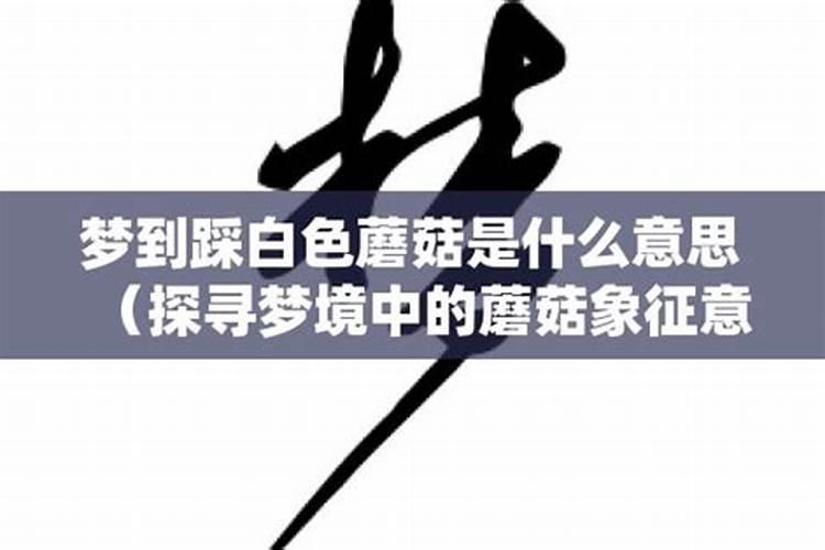 梦见踩大蘑菇是什么意思