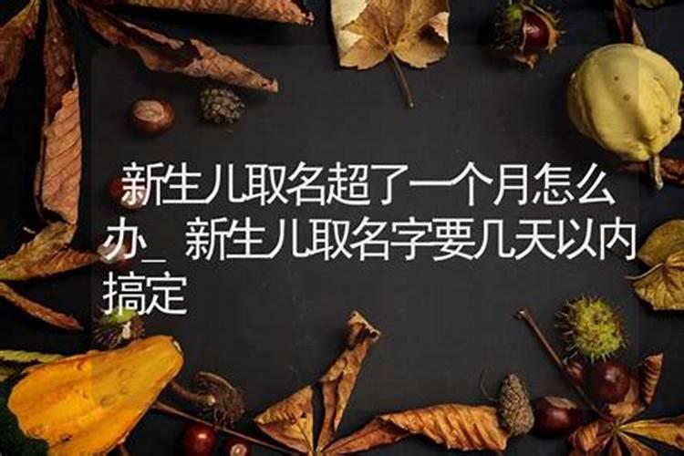 狗年的生辰八字是什么