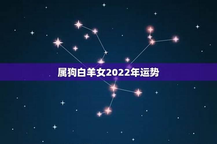 94年属狗女2021年运势运程