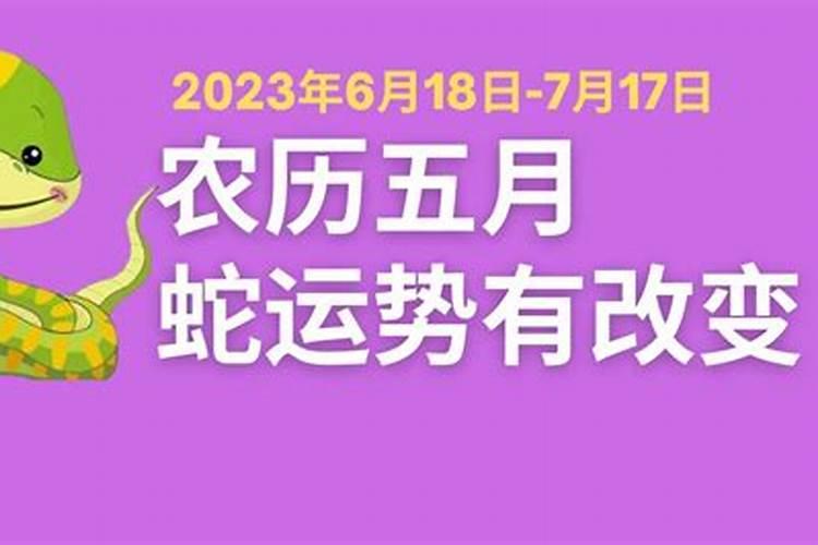 蛇阳历五月运势怎么样