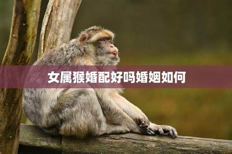 龙抬头要做哪些可以改运