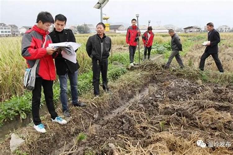 什么生肖守着一亩三分地