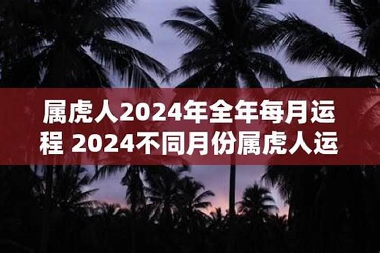 12生生肖2024年的运程如何