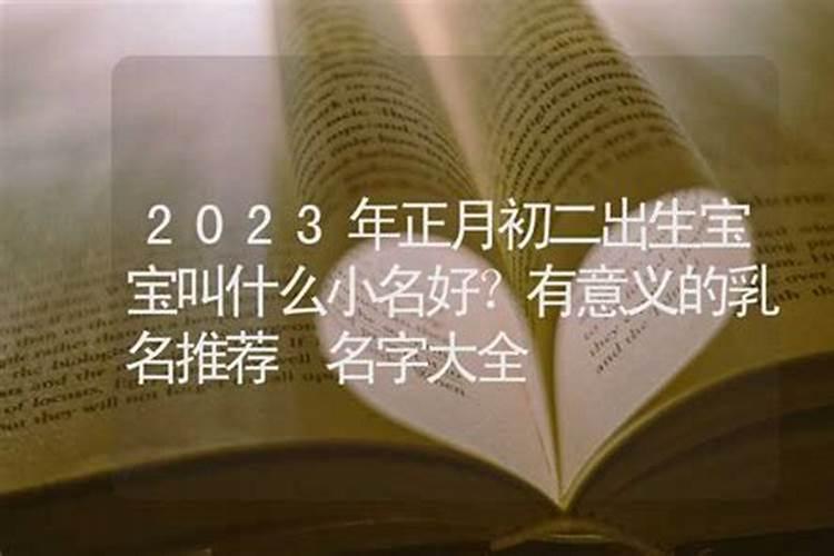 2023正月初二酉时出生的女孩