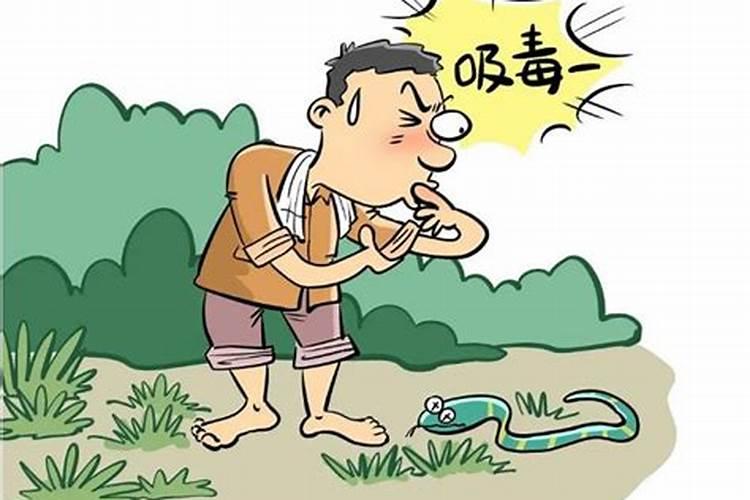 梦见蛇咬自己然后蛇死了