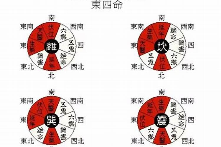 属兔的十二生肖的运程2023年运势