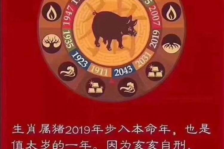 2018年犯太岁的五大生肖