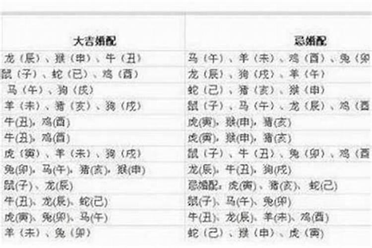 82年狗跟什么生肖配对最好