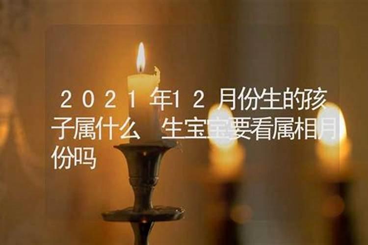 2024运势如何属虎