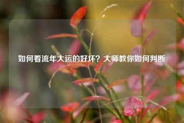 怎样推算行大运