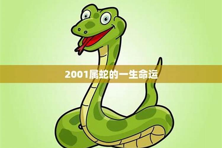 2001属蛇人的命运如何属蛇的人4个蛇怎么样