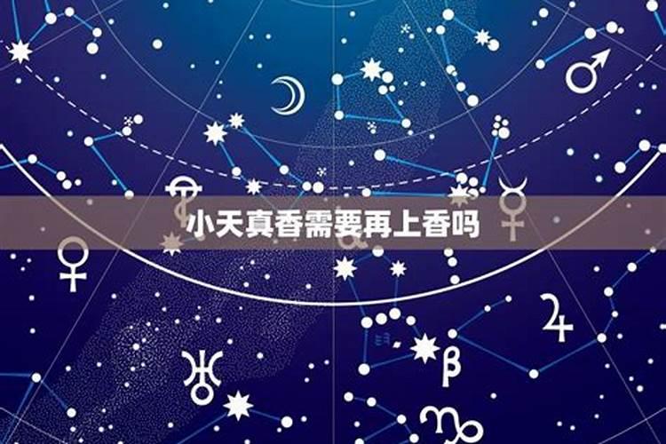 哪个星座天真无涯