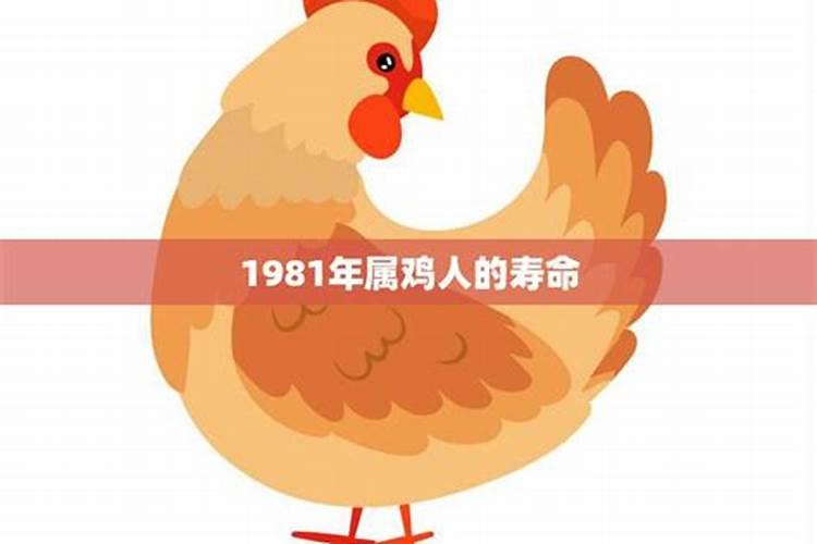 1981年属鸡寿终