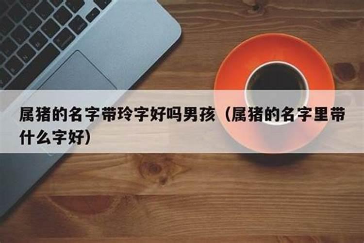 属猪的孩子名字当中应该带哪些东西