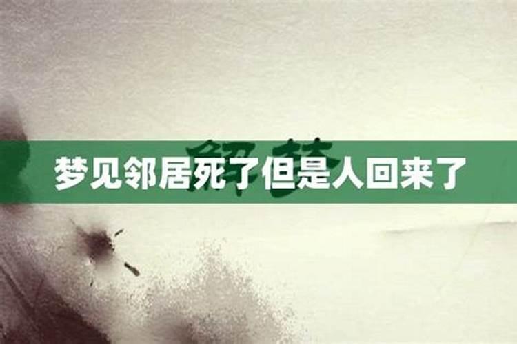 属蛇的今年犯太岁吗2021