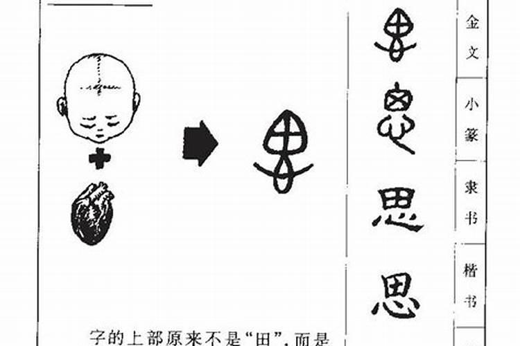 思字的五行属性