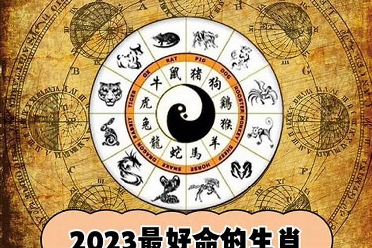 2023年哪个生肖运势好