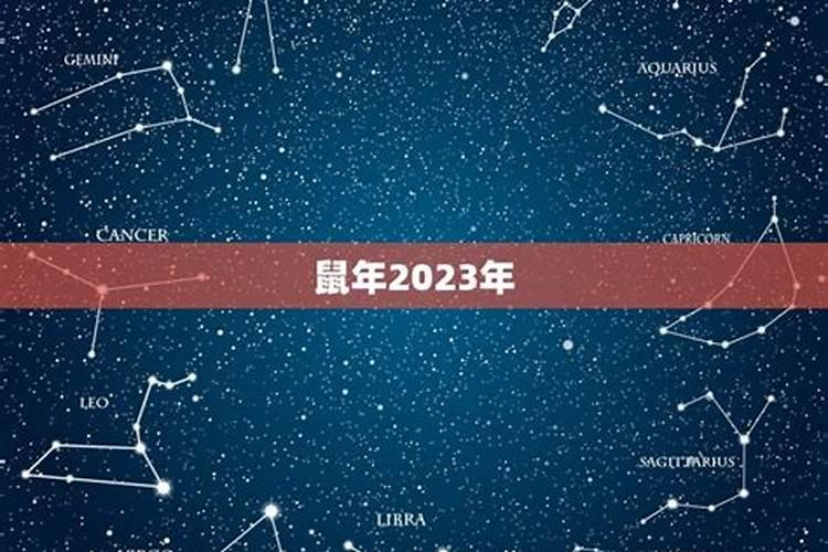 2023年属相排行