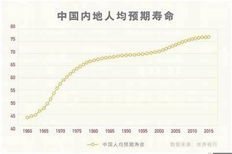 猪年犯太岁明年会怎样