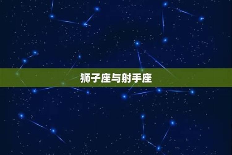 狮子座和十二星座配对吗