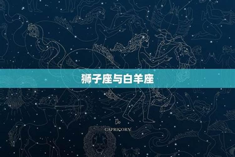 狮子座与12星座