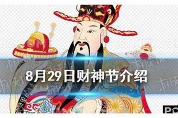 属猪2023年运势感情