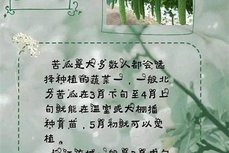 清明前后种瓜点豆的意思是什么