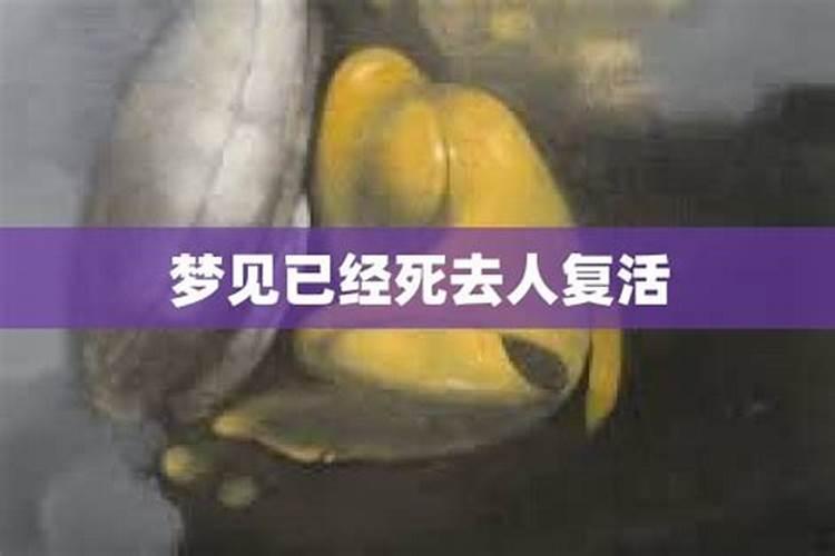 梦见已死去的丈夫复活