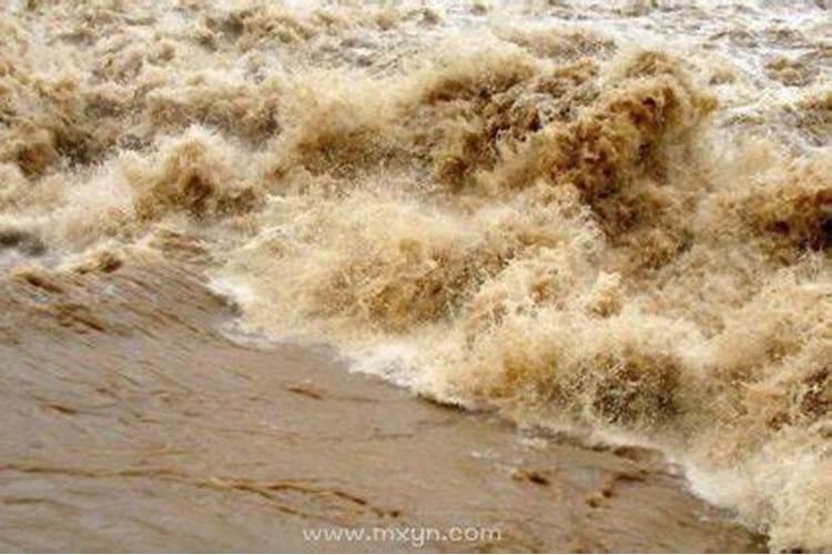 梦见大暴雨大洪水