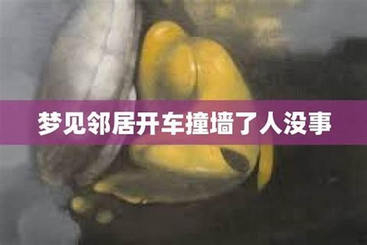 梦见妹妹开车撞到墙上