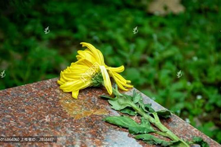 清明节祭扫预约西安