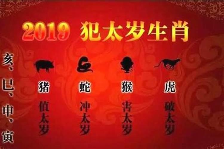 属蛇今年怎么拜冲太岁