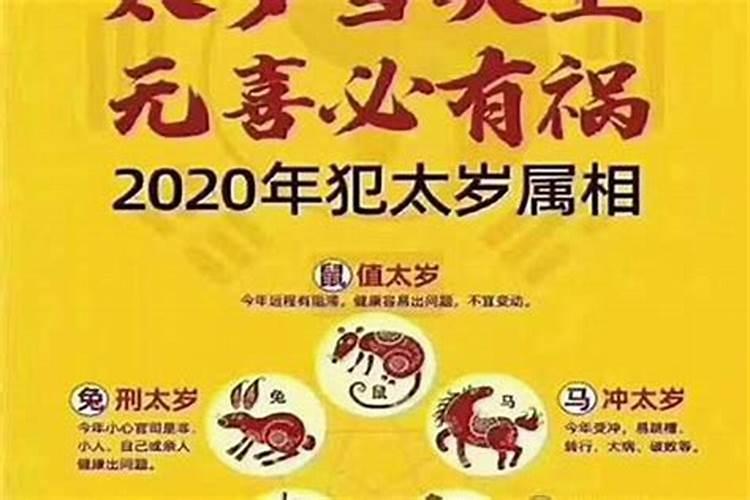 88属龙人2023年运势运程每月运程,卜易居