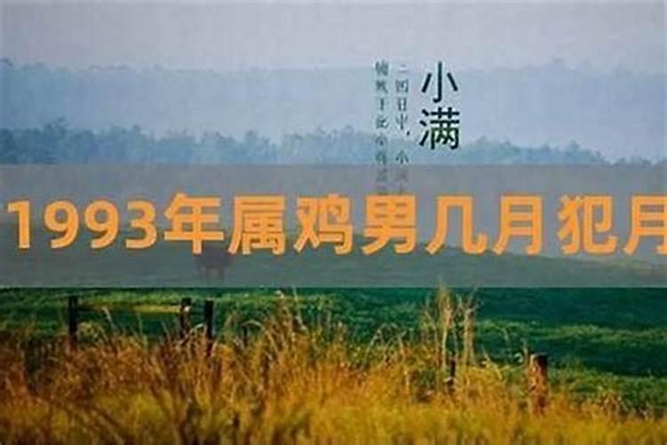 1993年几月几号立夏的