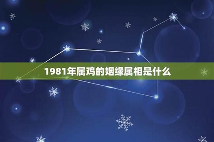 1981年生肖鸡能否婚姻状况怎么样