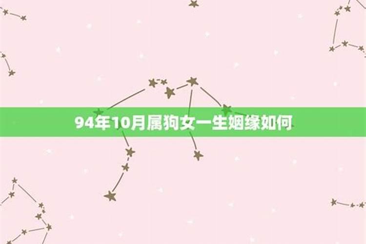 男88龙女94狗合婚吗