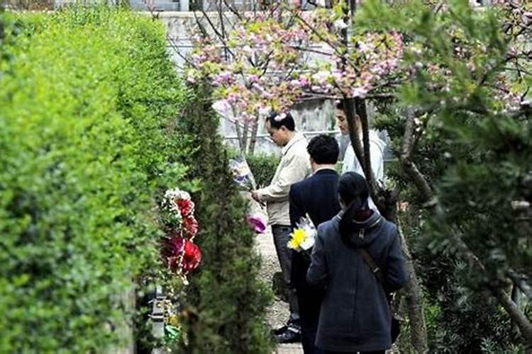 材料一近年来清明节祭奠亲友