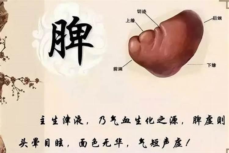 冬至过后脾胃不好应注意