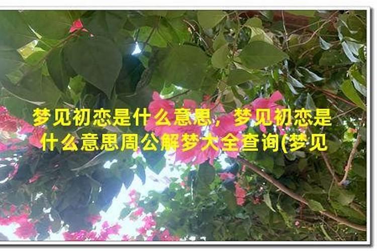 梦见初恋是什么意思周公解梦