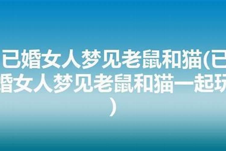 梦见老鼠和猫在一起是怎么回事儿