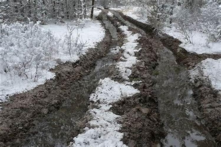 梦见满路雪是什么意思